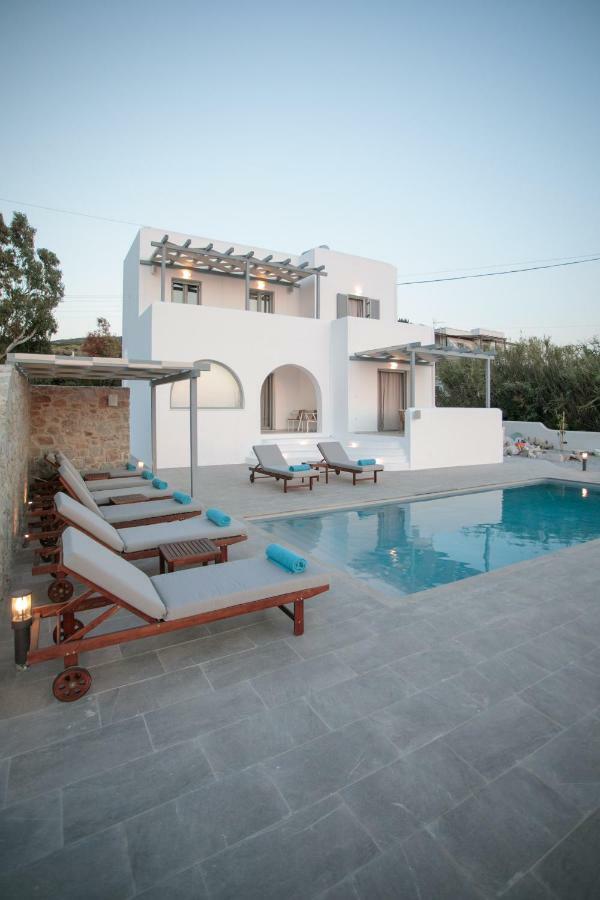 Naxos Infinity Villa And Suites Galanado Εξωτερικό φωτογραφία