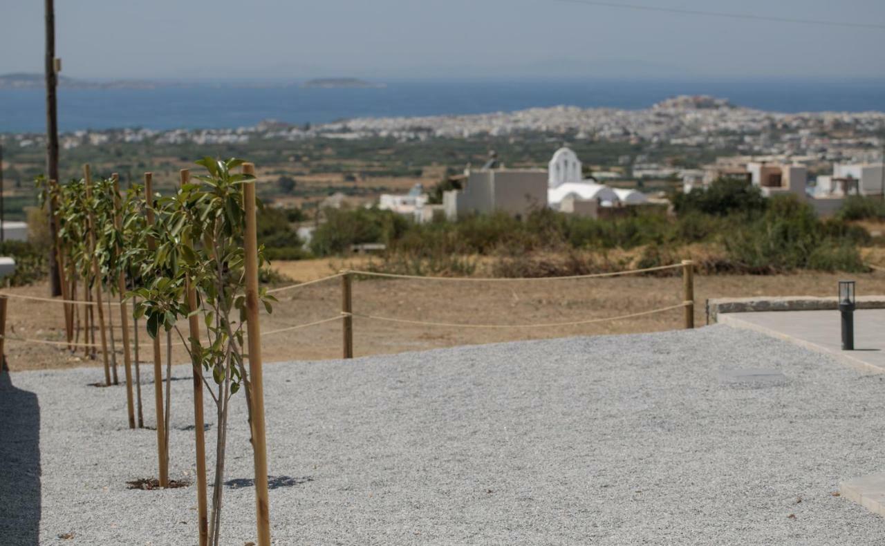 Naxos Infinity Villa And Suites Galanado Εξωτερικό φωτογραφία